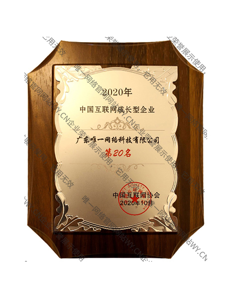 2020年中國(guó)互聯(lián)網(wǎng)成長(zhǎng)型前20家企業(yè)