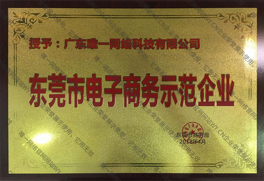 東莞市電子商務(wù)示范企業(yè)