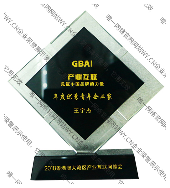 年度優(yōu)秀青年企業(yè)家