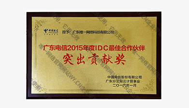 廣東電信2015年度IDC最佳合作伙伴