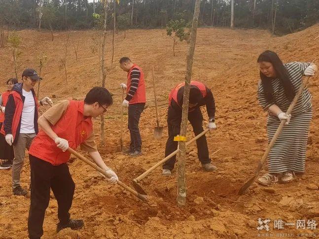 黨建紅賦能生態(tài)綠:唯一網(wǎng)絡(luò)攜手共建綠美東莞植樹主題黨日活動(dòng)